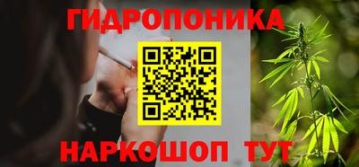 шишки Гусиноозёрск