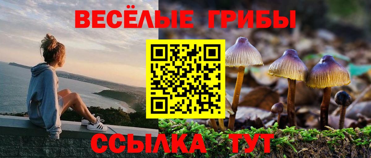где найти   Вход с VPN  Псилоцибиновые грибы GOLDEN TEACHER  Горячий Ключ  Галлюциногенные грибы Psilocybe 